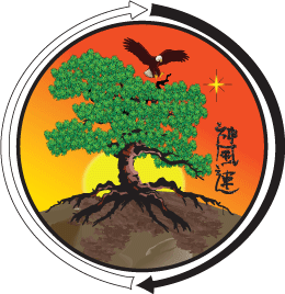 Shinpu-Ren Family Karate Historical Lineage