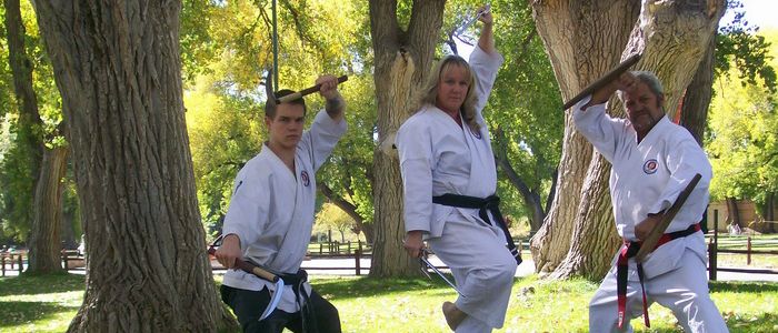 Family Karate 