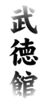 Shinpu-Ren Lineage: Soke Robert Hill